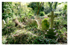 East Highgate Cemetery 20081021: image 9 of 17