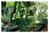 East Highgate Cemetery 20081021: image 11 of 17