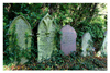 East Highgate Cemetery 20081021: image 12 of 17