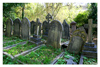 East Highgate Cemetery 20081021: image 16 of 17